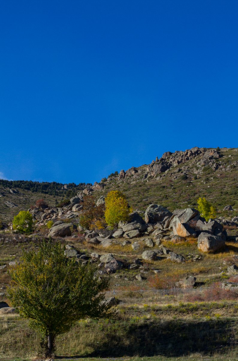 Paysage Targa   Automne (2)